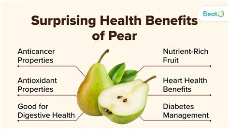 Chinese Pear Health Benefits