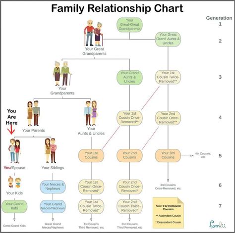 Family Relationship Chart Secrets Revealed