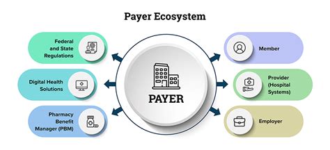 Global Health The Payers And Players