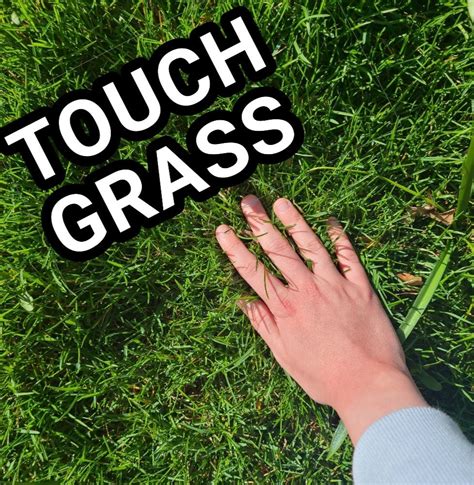 Go Touch Grass: Transform Health!