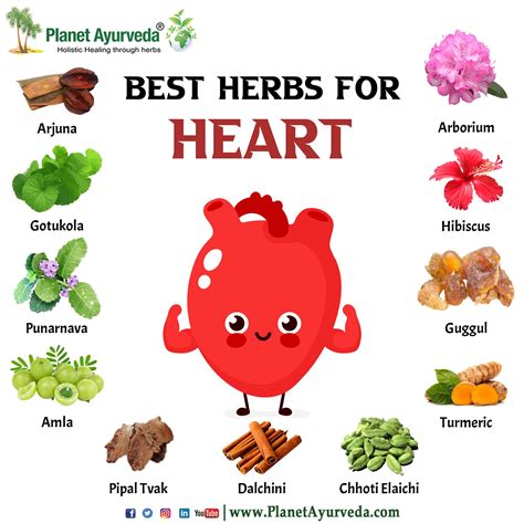 Herbs For Heart Health