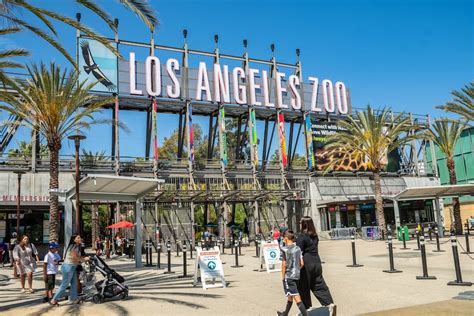 Best Los Angeles Zoo Promo Code for 2023