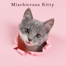 Meet the Mischievous Kitty: Unleashed Secrets!