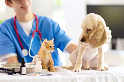 Pet Health Clinic