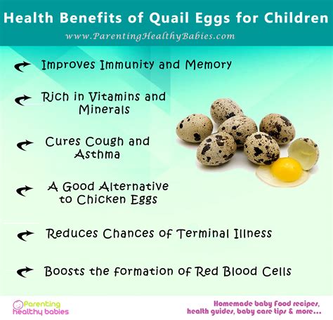 Quail Eggs And Health Benefits