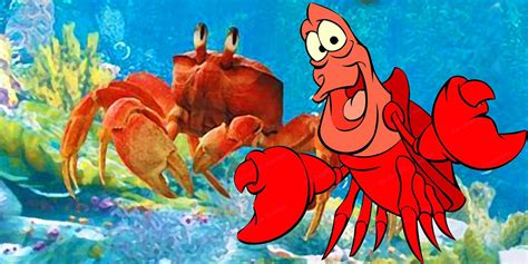 Sebastian's Ultimate Guide to Mastering Digital Marketing in 2023